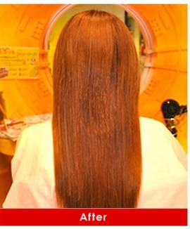 エクステ　６|SECTION