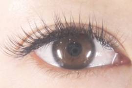 ナチュラル|Terra 銀座店