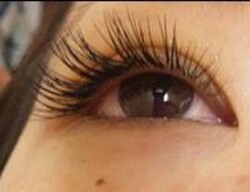 M.Y ANJELIQUE|M.Y ANJELIQUE