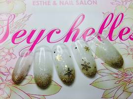 ☆１２月キャンペーンアート☆|Seychells