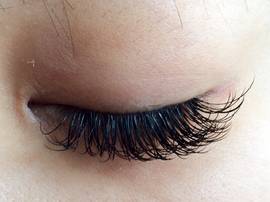 抗菌まつげ(先太)|BODYQA