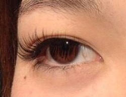 抗菌シルクセーブル|BODYQA