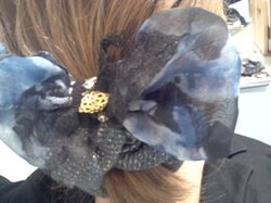 ショート＆シュシュ