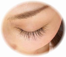 片目に１００本でも０．１ｍｍの太さだけのすごく自然な例|ラマン・ダンジュ