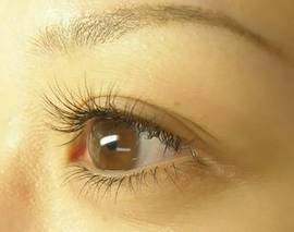 上下|ラマン・ダンジュ