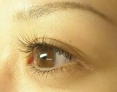 上下|ラマン・ダンジュ