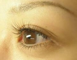 上下|ラマン・ダンジュ