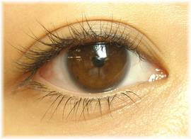 上下|ラマン・ダンジュ