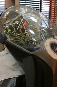 京都　ヘナ毛にパーマ　エアウェーブスタイル♪|hair Qril