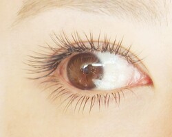 国産抗菌シルクエクステンション|eyeplaia