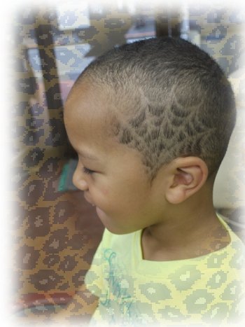 ラインカットボーイ　スパイダーネット!(^^)!|PAM hair