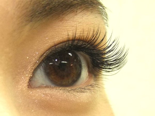 ドーリーeye 140本¥8700|stella～luxe～