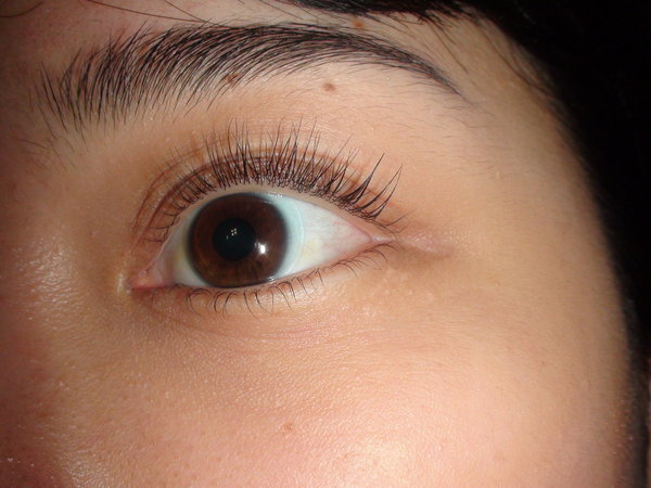 まつ毛カール上下|Splendeur　アイラッシュ