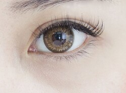 【まつげエクステ】１２０本 |elpis【エルピス】