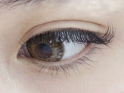 【上まつげエクステ】１２０本|elpis【エルピス】