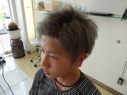 トリッキーカラーのショートウルフ