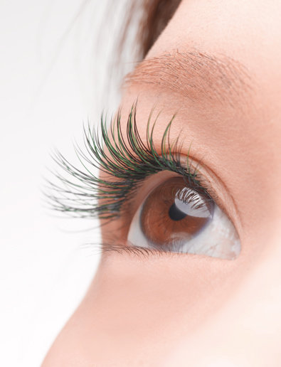 カラーミックス|PROCARE Eyelash　銀座店