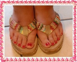 鮮やか　レッドフット