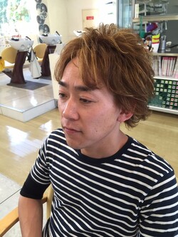 ワイルドメッシュ