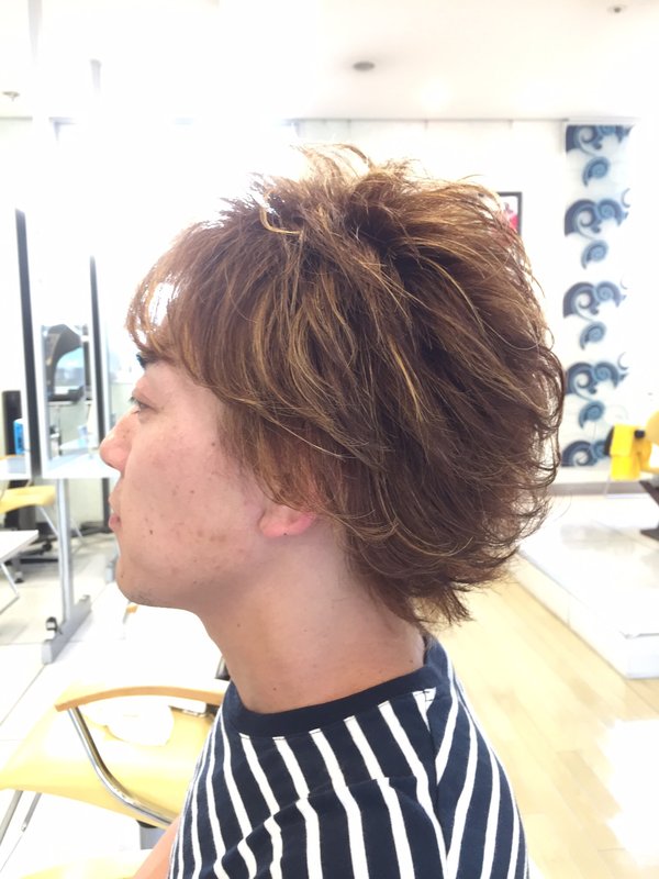 ワイルドメッシュ|Infini-Y’s　ウェルディ長泉店