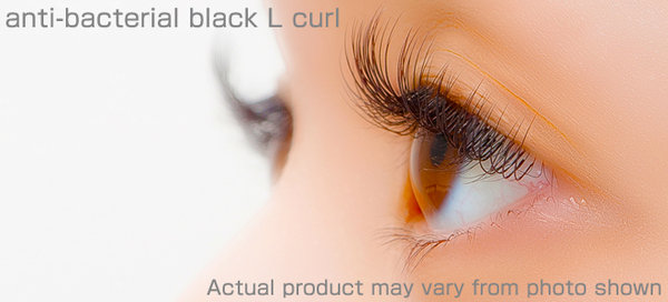 Lカール導入☆|ＴＩＡＲＡ