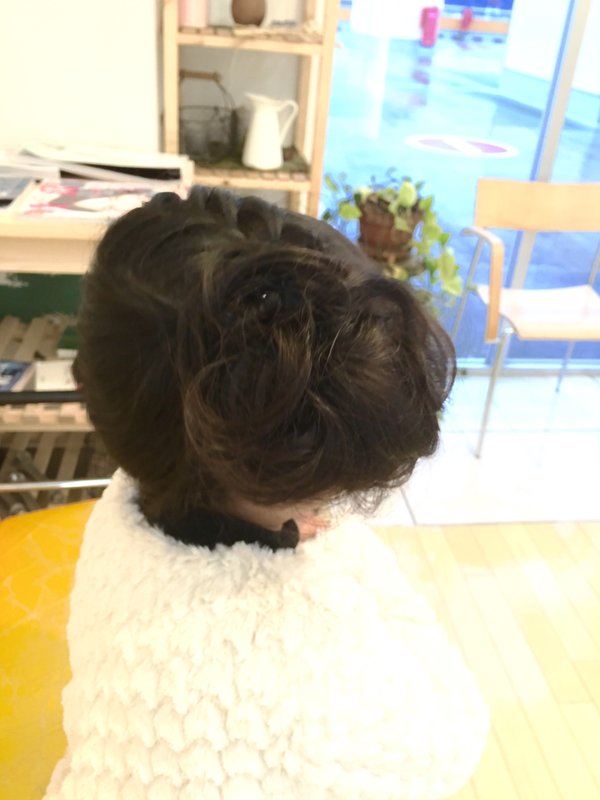 イノセントゴシックスタイル|Infini-Y’s　ウェルディ長泉店