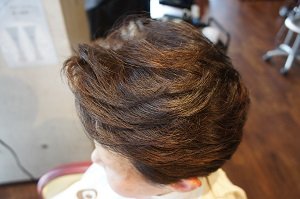 シニア３D立体白髪染め|Hair EG-O B＋1(ブラックプラスワン)