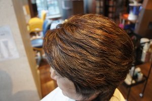 シニア３D立体白髪染め|Hair EG-O B＋1(ブラックプラスワン)