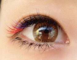 カラーエクステ（目尻パープル・レッド）|中目黒まつ毛エクステサロン専門店～or LATTe～