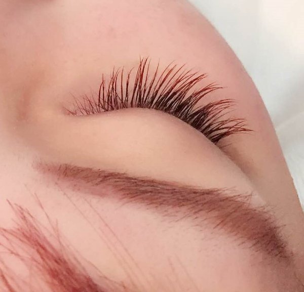 ＡＬＬブラウンカラー★|ＴＩＡＲＡ