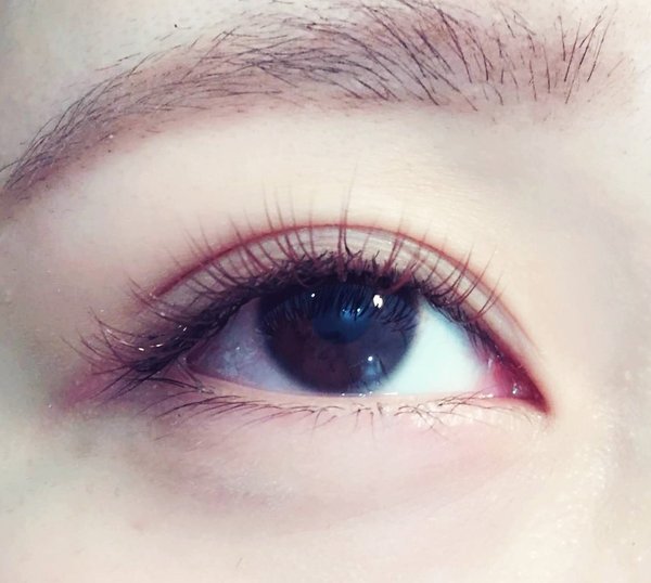 ＡＬＬブラウンカラー★|ＴＩＡＲＡ