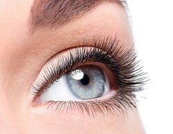 最新技術☆３Ｄボリュームラッシュ|エクセレントアイラッシュ　佐世保店