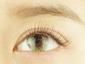 Dカール80本 片目４０本 中目黒まつ毛エクステサロン専門店 Or Latte ラテ 東京都 中目黒 のマツエク まつげパーマ カタログ ビューティーパーク