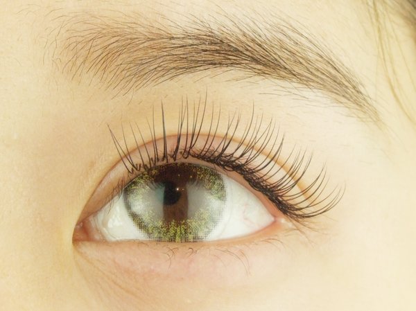 Dカール100本（片目50本）|中目黒まつ毛エクステサロン専門店～or LATTe～