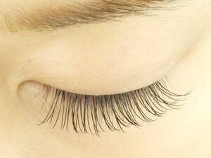 Dカール100本 片目50本 中目黒まつ毛エクステサロン専門店 Or Latte ラテ 東京都 中目黒 のマツエク まつげ パーマカタログ ビューティーパーク