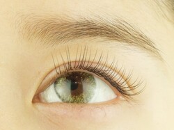 Dカール60本（片目30本）|中目黒まつ毛エクステサロン専門店～or LATTe～