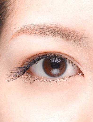 ナロウメーテルスタイル|PROCARE Eyelash　新宿本店