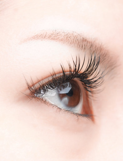 アメリカンドールスタイル|PROCARE Eyelash　北千住店