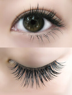 アメリカンドールスタイル|PROCARE Eyelash　新宿マルイ本館店