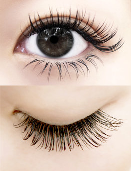 ゴージャススタイル|PROCARE Eyelash　みなとみらい店