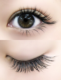 キャメルスタイル|PROCARE Eyelash　みなとみらい店