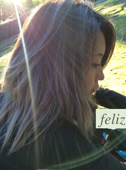 【フェリス0522630508】ホワイトハイライト