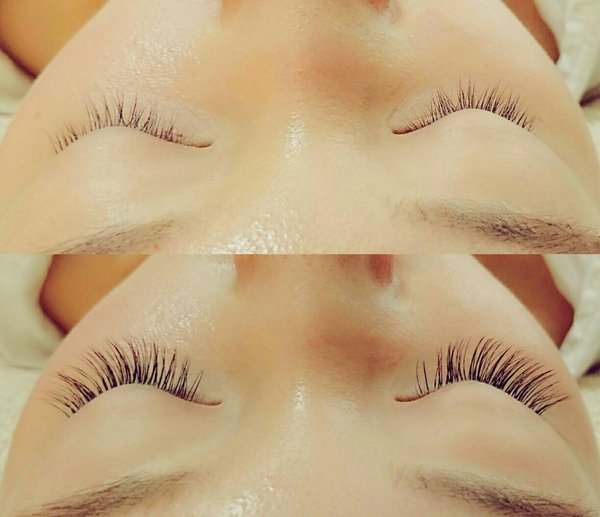 プレミアムセーブル♪|Lupinus