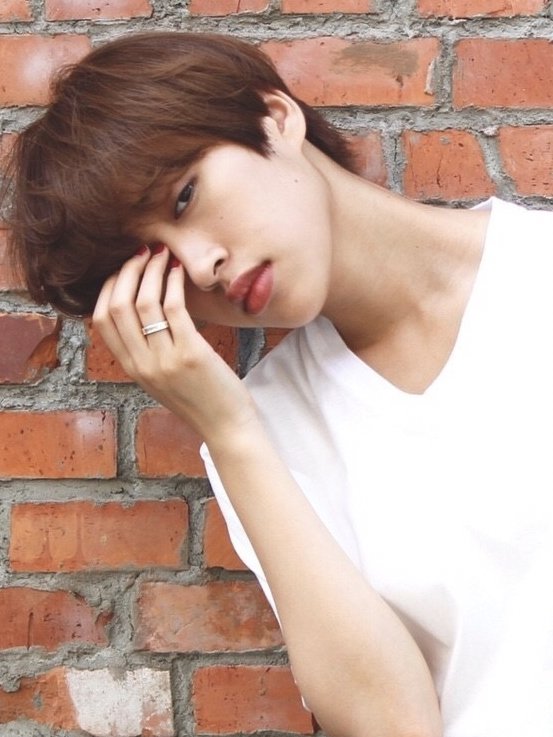 ブリティシュショート|NERO HAIR SALON