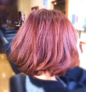 コーラルボブ|Papillon Rose