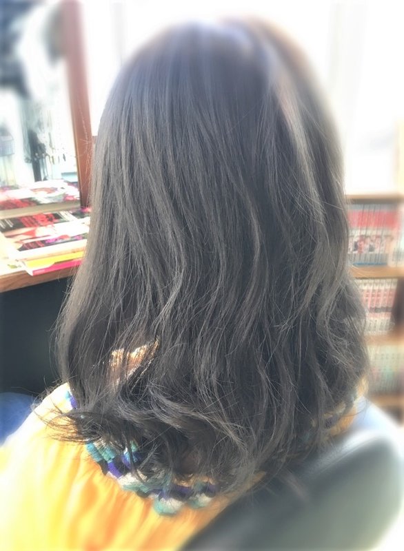 グレイアッシュ|Papillon Rose