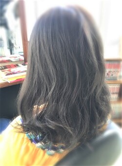 グレイアッシュ|Papillon Rose