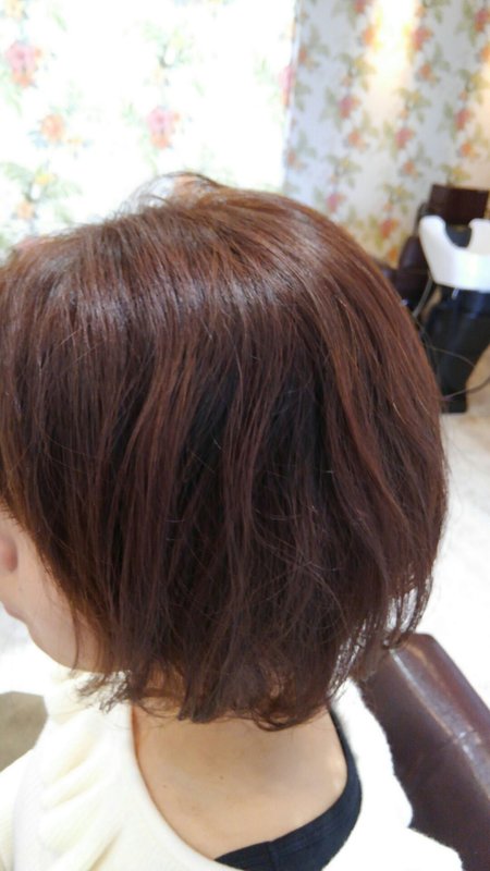 オレンジ系チャイカラー|welina