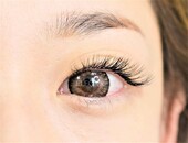 ボリュームラッシュ|まつげエクステサロン　ELEGAR（エレガ）