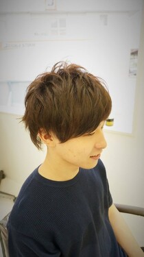 セイムレイヤーマッシュ